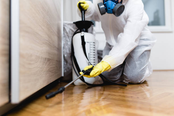 Best Emergency Pest Control  in Gonzales, LA