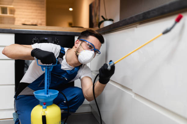 Best Best Pest Control Companies  in Gonzales, LA