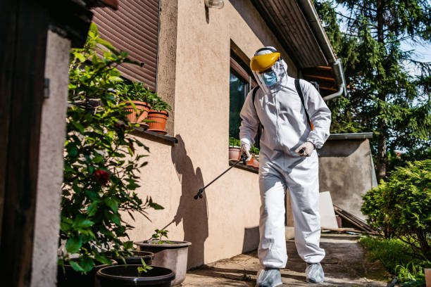 Best Mosquito Control Services  in Gonzales, LA