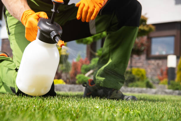 Best Pest Control for Businesses  in Gonzales, LA