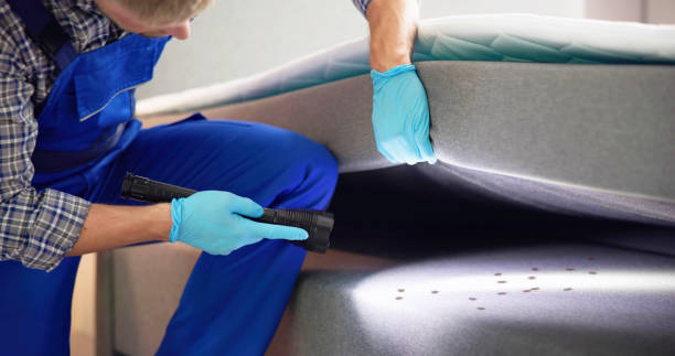Best Bed Bug Extermination  in Gonzales, LA