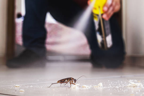 Best Pest Control for Businesses  in Gonzales, LA