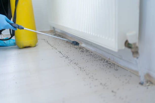 Trusted Gonzales, LA Pest Control Experts