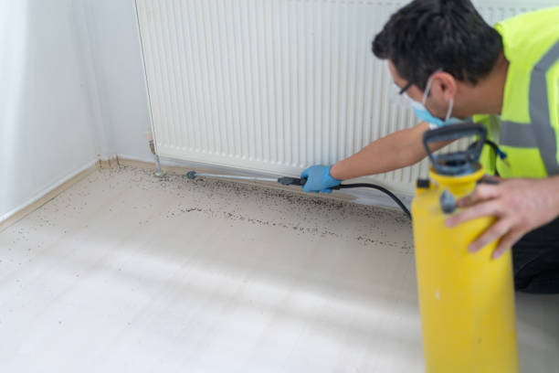 Best Flea Control Services  in Gonzales, LA