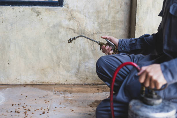 Best Local Pest Control Services  in Gonzales, LA